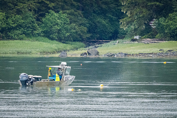 Crab boating