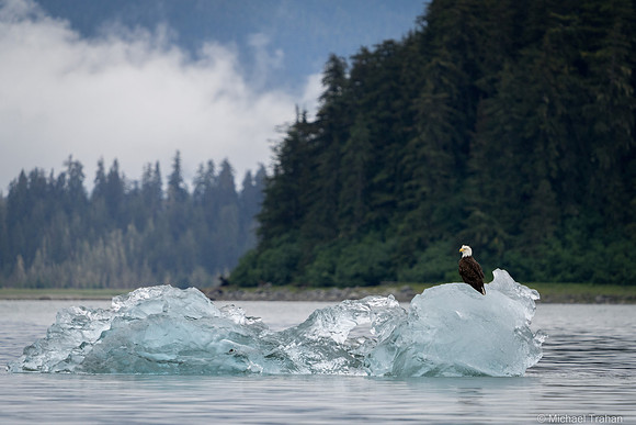 Looking at icebergs, bergy bits, growlers and brash