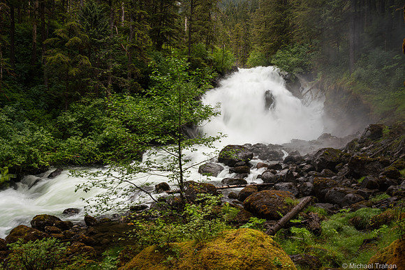 Waterfall in a temperate rainforest