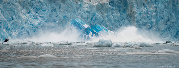 LeConte Glacier in Tracy Arm