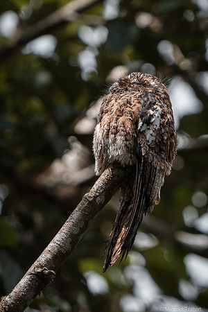 20250315-_DSC8301