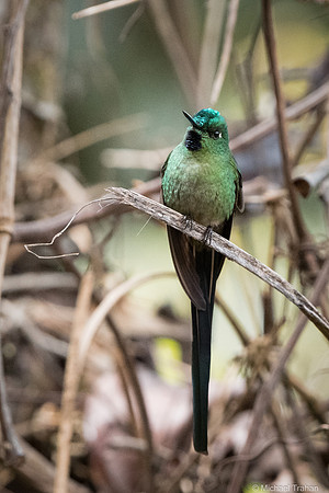 20250315-_DSC9069