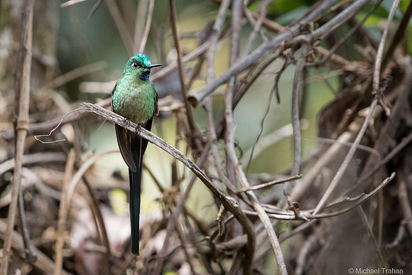 20250315-_DSC9088