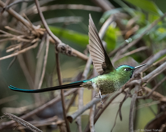 20250315-_DSC9104