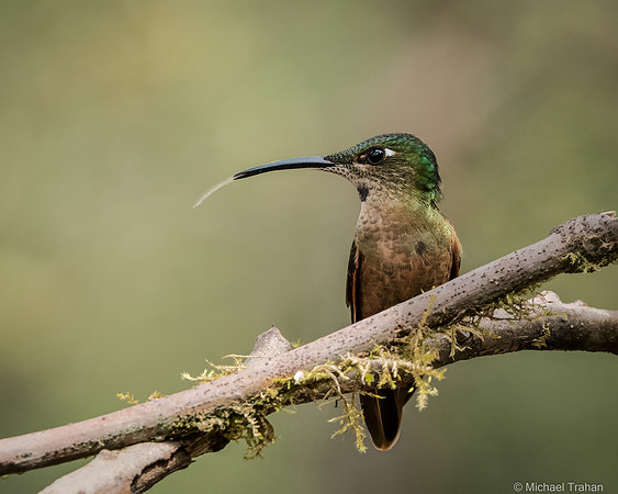 20250315-_DSC9137-Edit