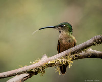 20250315-_DSC9137-Edit