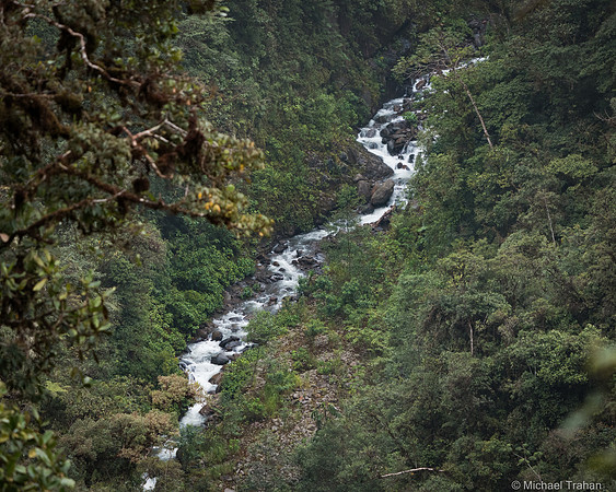 20250315-_DSC9226
