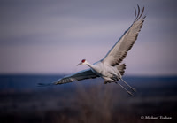 Bosque del Apache Area Selected NM