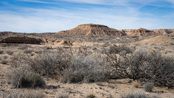 Sevilleta National Wildlife Refuge