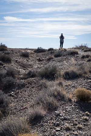 Sevilleta National Wildlife Refuge