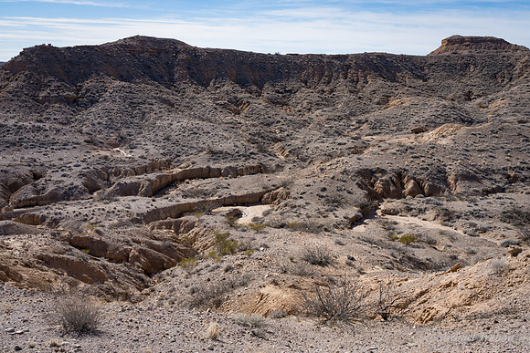 Sevilleta National Wildlife Refuge