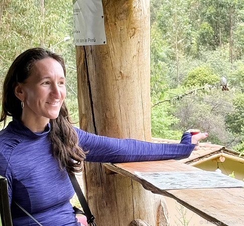 White-bellied Hummingbird being tempted by Sylwia
