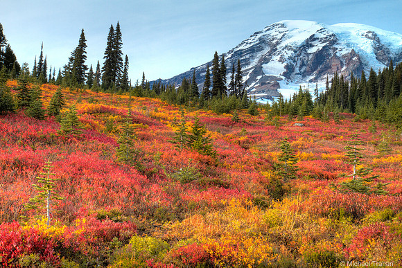 Mt. Rainier Meadow in the Fall