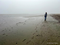 Bolivar Flats near Galvestion TX