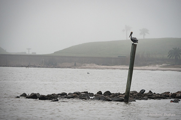 The Bolivar Peninsula