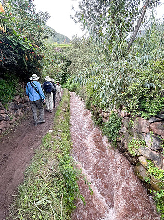 Walking along Inca Terraces