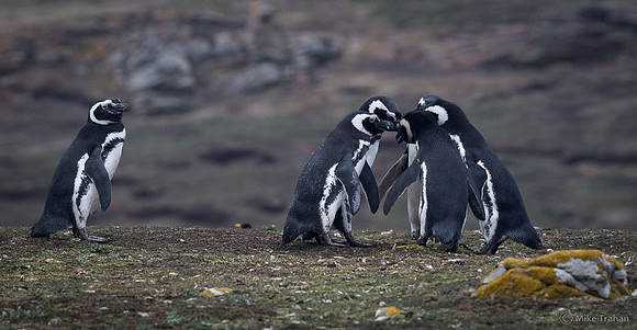Not Part of the In Crowd