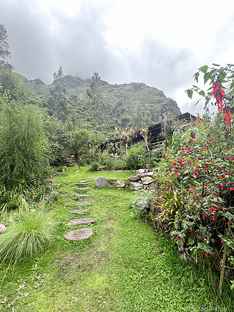 Heading into a Hummingbird Garden