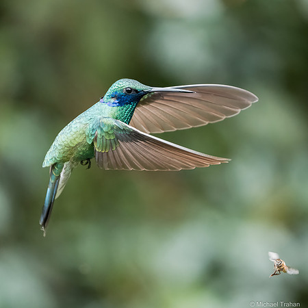 20250310-_DSC5293-Edit