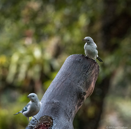 20250313-_DSC7439-Edit