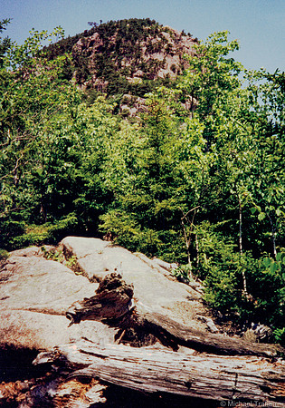 Canada trip- Acadia National Park, the Beehive hike to the top