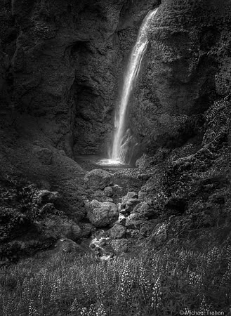 Lupine and a Roadside Waterfall