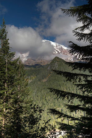 Mt. Rainier