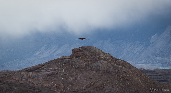 Upsala Glacier