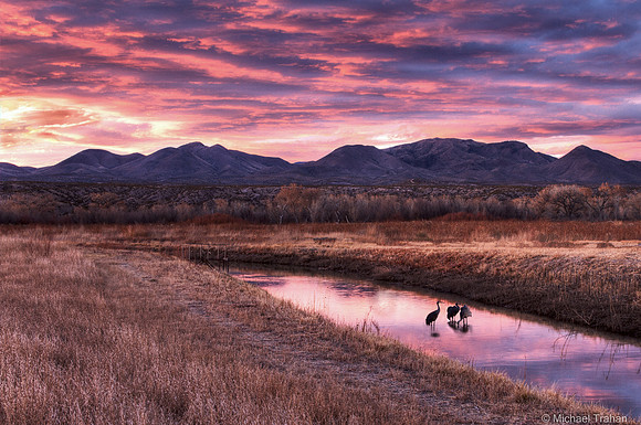 Sunset at Bosque del Apache