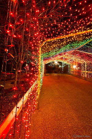 Zoo Lights, Lincoln Park, Chicago