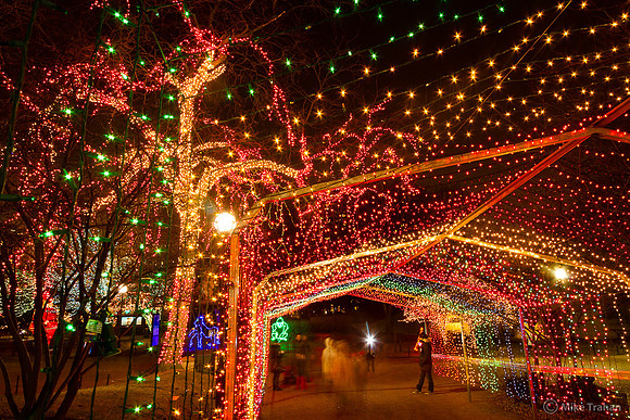 Zoo Lights, Lincoln Park, Chicago