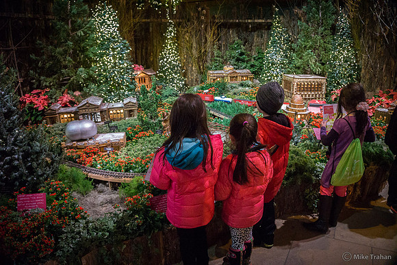 Winter Wonderland at the Chicago Botanic Gardens
