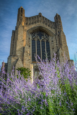 Rockerfeller Chapel at the University of Chicago