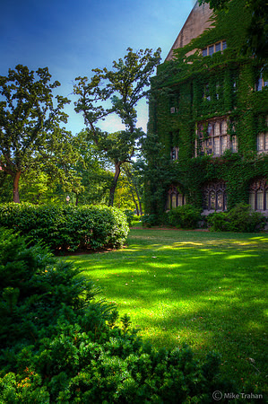 University of Chicago