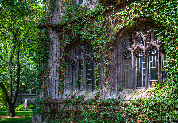 University of Chicago