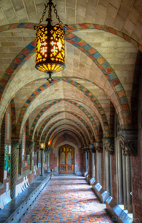 A University of Chicago Hallway