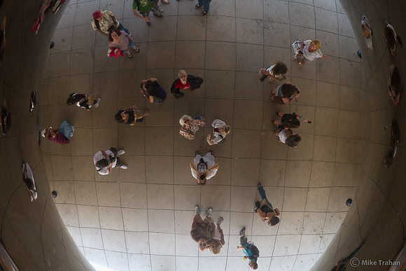 The Bean