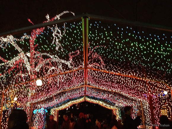 Zoo Lights, Lincoln Park, Chicago