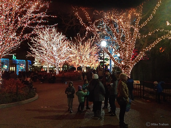 Zoo Lights, Lincoln Park, Chicago