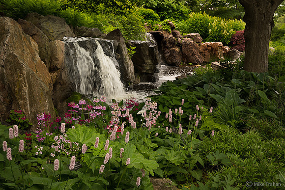 Waterfall at the Chicago Botanic Gardens
