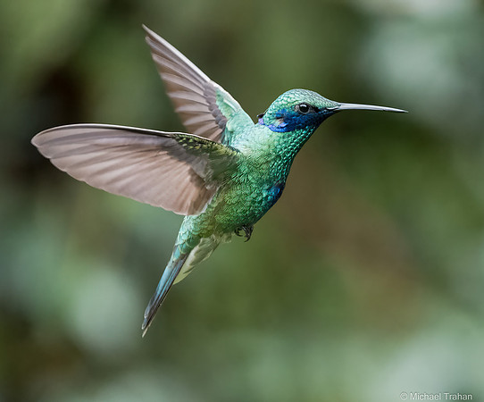 20250310-_DSC5297-Edit