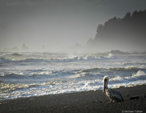 Rialto Beach