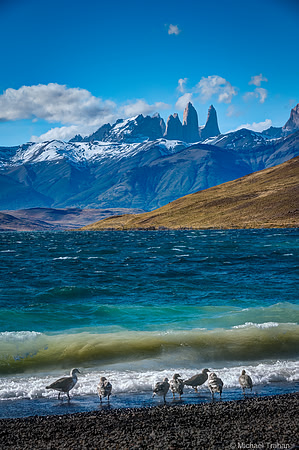 Laguna Azul, Patagonia