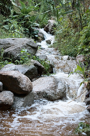 Near Aguas Calientes near Machu Picchu
