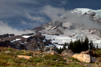 Mt. Rainier