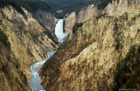 Grand Canyon of the Yellowstone