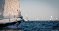 The Fleet's Asail