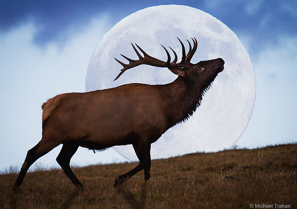 On the Tundra (composite)