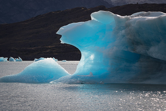 Upsala Glacier