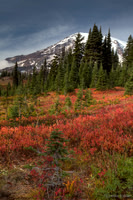 Mt. Rainier in the Fall